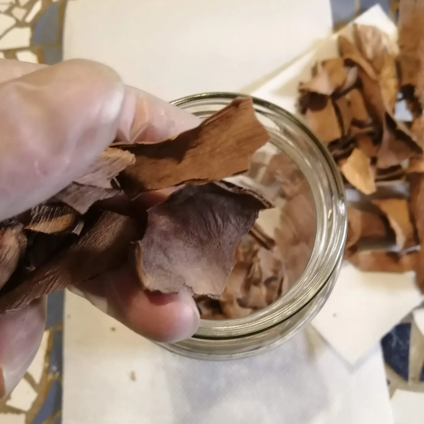 Cómo hacer extracto de Aloe Vera y tónico facial infalible para piel grasa.