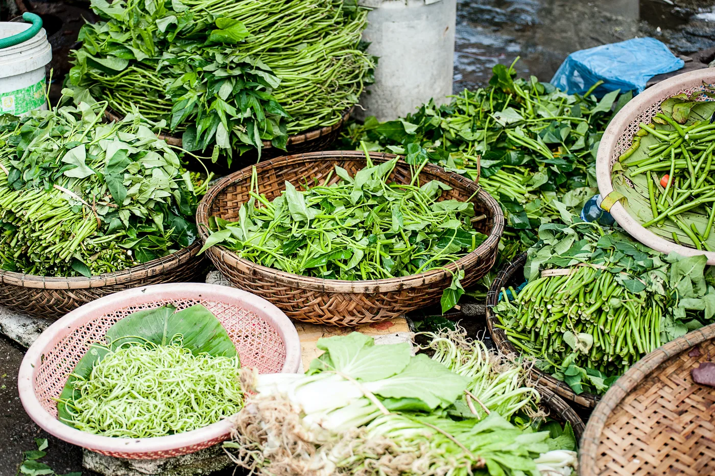 9 métodos efectivos para utilizar las hierbas medicinales