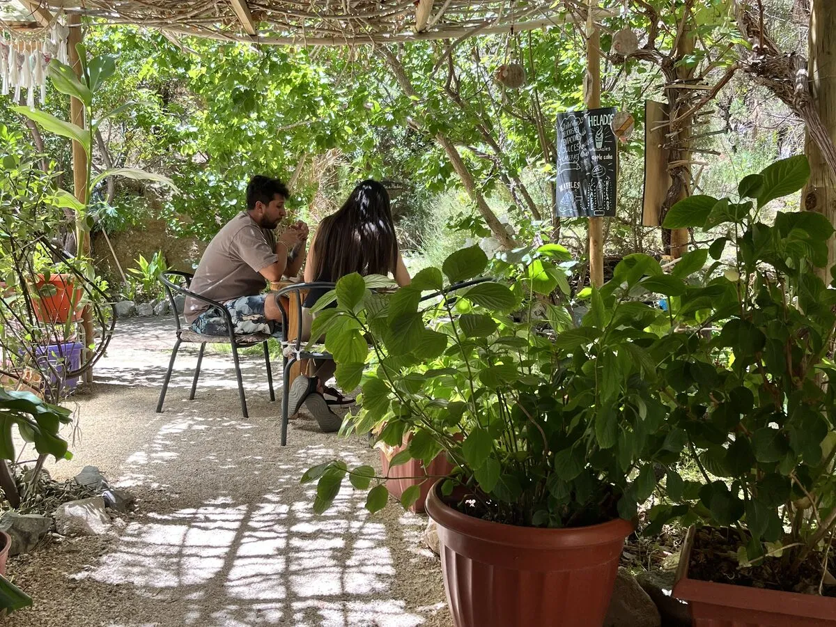Dos personas almorzando bajo la parra del restaurant, entre plantas y sombra